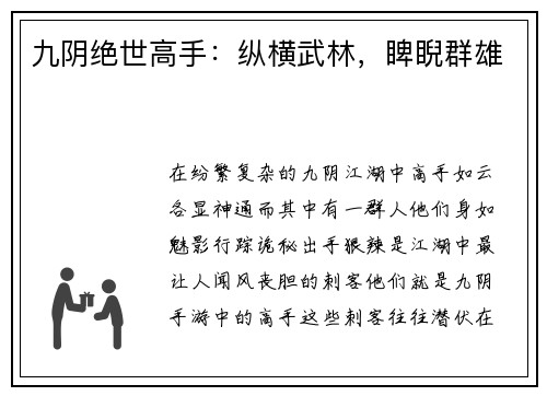 九阴绝世高手：纵横武林，睥睨群雄